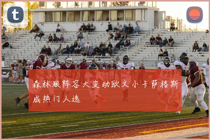 森林狼阵容大变动欧文小卡萨格斯成热门人选