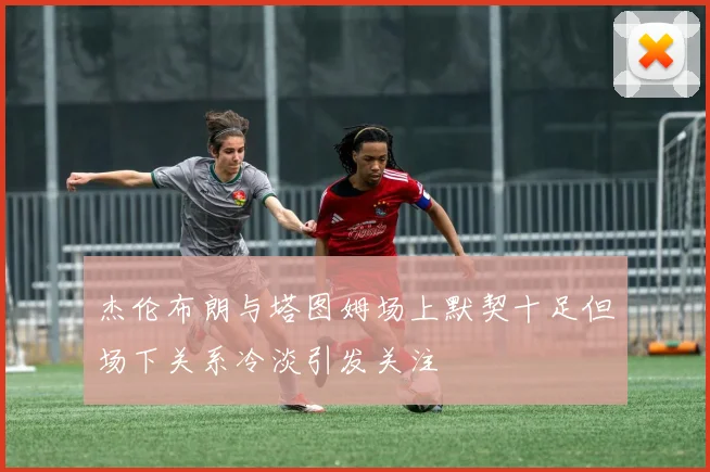 杰伦布朗与塔图姆场上默契十足但场下关系冷淡引发关注